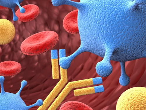 Immunologist - a 3D rendering of red blood cells, platelets, and white blood cells