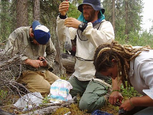 Public Health Entomologist - a group of three entomologists looking at bug samples in a forest