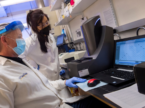 Quantitative Public Health Researcher - two scientists in a lab reading a graph on a computer