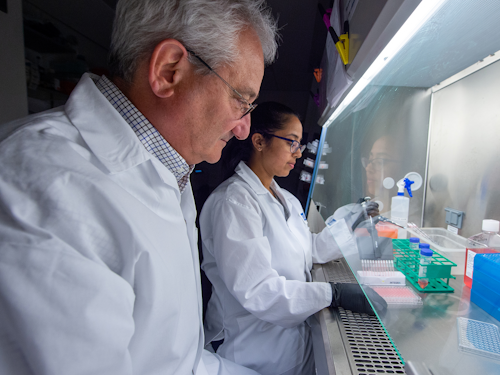 Vaccine Researcher - two scientists looking at solutions under a chemical hood in a lab